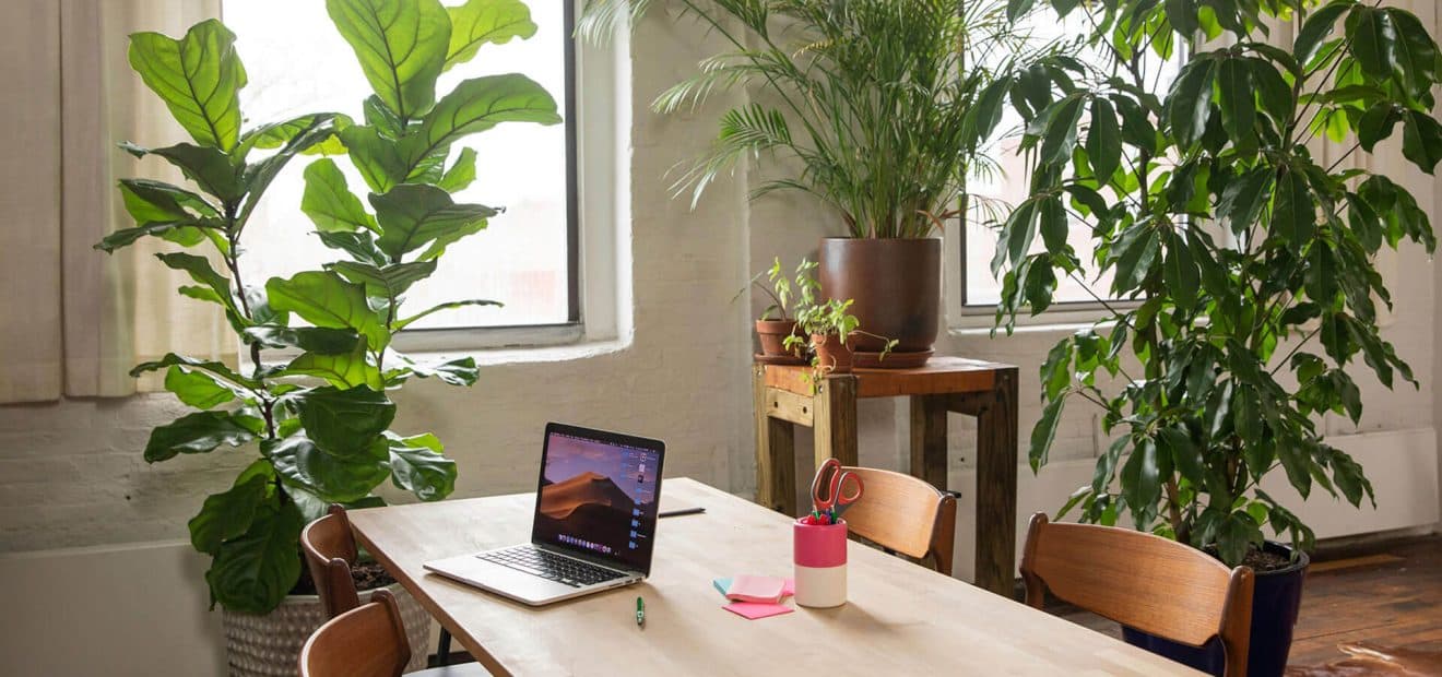 Professional space for client calls and team meetings